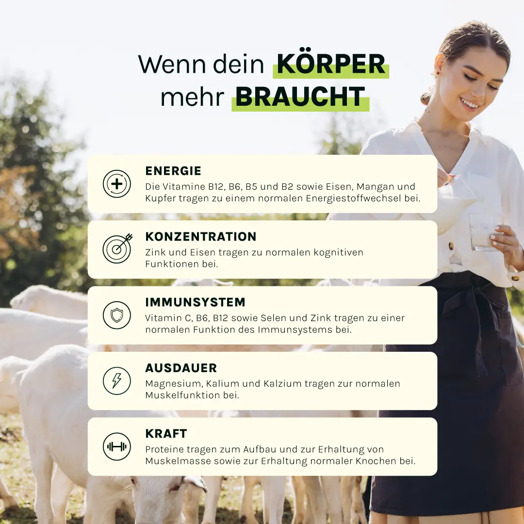 Vegan Erdbeere - High Protein Meal, 1 kg – Bild 12