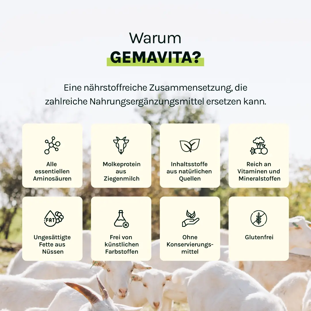Vegan Erdbeere - High Protein Meal, 1 kg – Bild 5